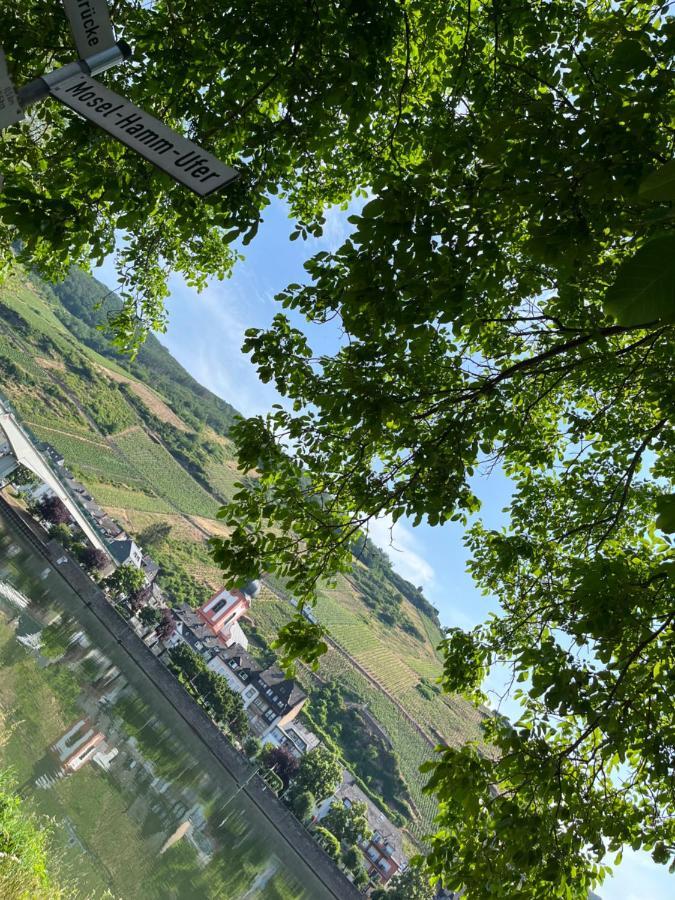Ferienhaus Ankerpunkt Zell an der Mosel Kültér fotó